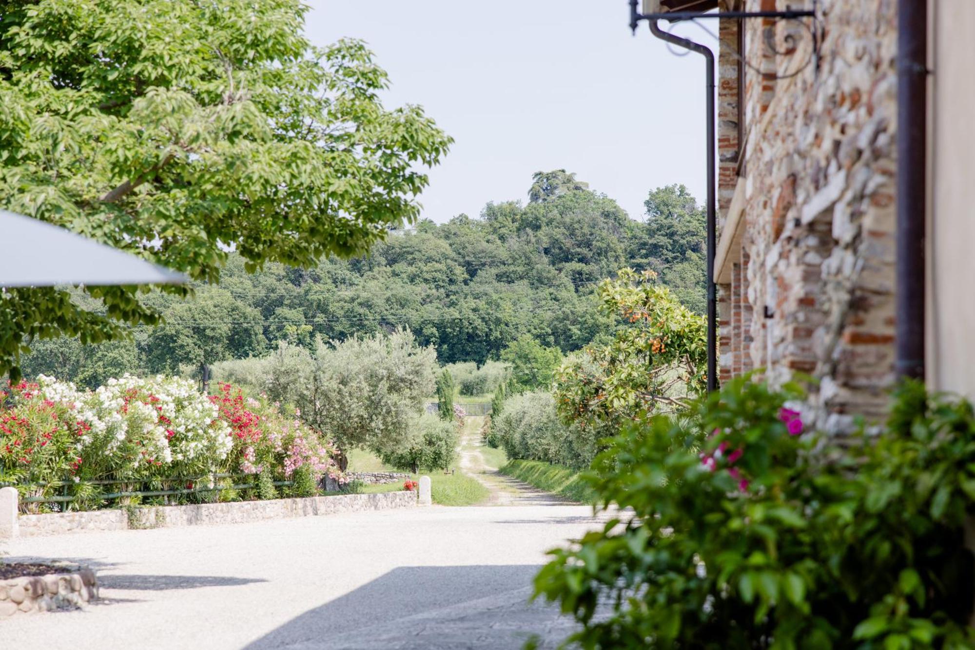 Agriturismo Sambuco Pastrengo Exteriör bild